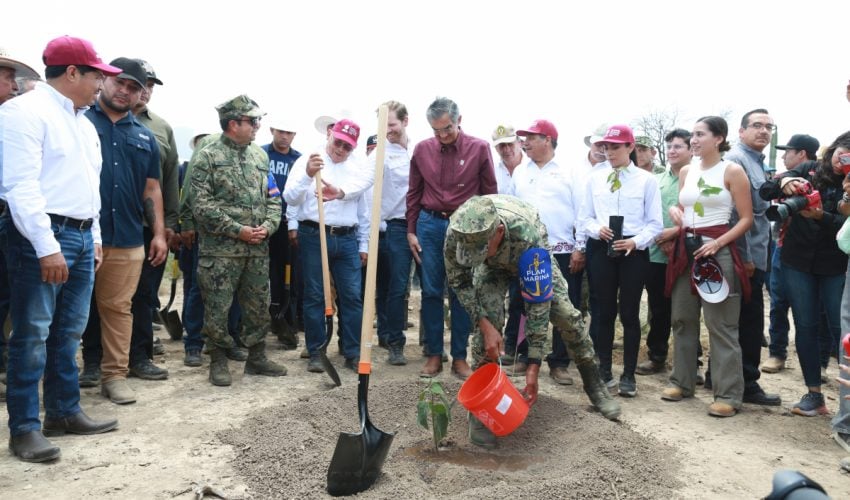 Tamaulipas participa en Jornada Nacional de Reforestación; se plantarán 15 mil árboles