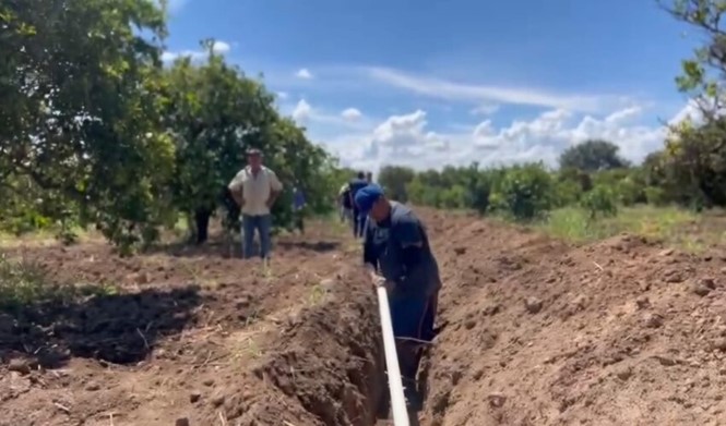 Riego tecnificado para productores de la zona citrícola brinda nuevas herramientas al campo tamaulipeco