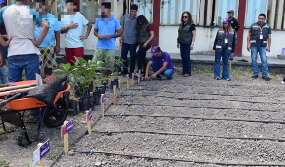 Avanza Tamaulipas con resultados vinculados a instalan huerto de hortalizas en el Centro de Ejecución de Medidas para